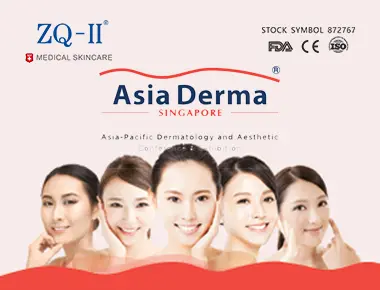 싱가포르 전시회 12.5-7